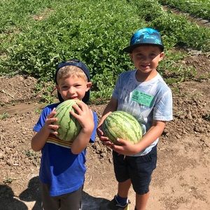 Meet your Posher, Alli